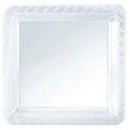 Northwest Solid Color Tableware 9' Square plastic plates