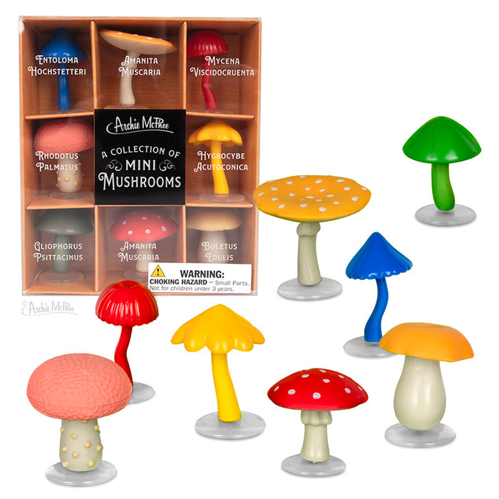 A box containing a collection of soft vinyl mini mushrooms arranged in a fairy circle on display.