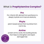 Aphogee Two-Step Protein Treatment 16oz