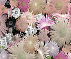 Art Print on Canvas 'C Floral 02' — styled on a wall