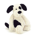 Bashful Rufferty (Black & Cream) Puppy - Medium