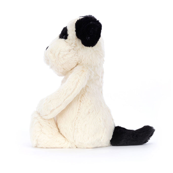 Bashful Rufferty (Black & Cream) Puppy - Medium