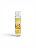 Bath & Body Works Pina Colada Swirl Fragrance Mist