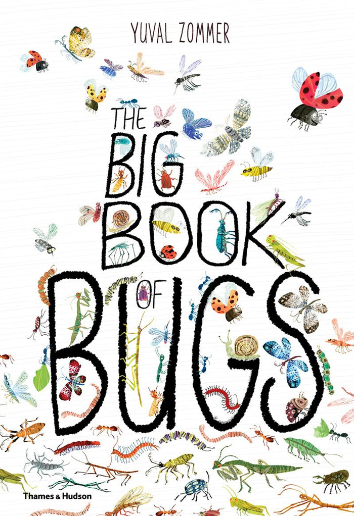 Book - Big Book of Bugs