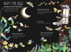 Book - Big Book of Bugs