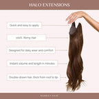 Brown/Blonde Highlights (P5/16) Halo