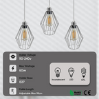Chrome 3 Head Rectangle ceiling lamp with wire cage~4210