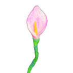 Felted example