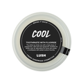 Cool Toothpaste - Flouride