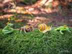 A mossy log in the forest hosts a collection of Crowned Critters—snake, spider, snail, and frog—each graced with regal crowns.