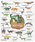 Custom Name Fleece Cartoon Dinosaur Blanket II24