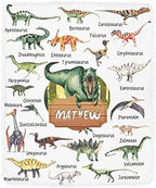 Custom Name Fleece Cartoon Dinosaur Blanket II24