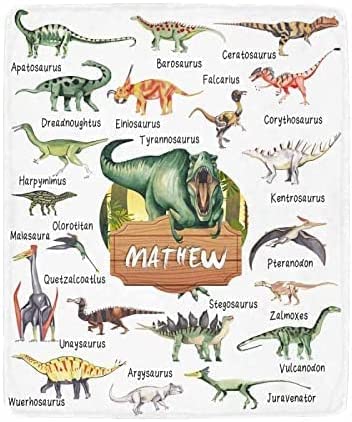Custom Name Fleece Cartoon Dinosaur Blanket II24