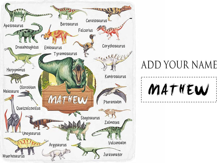 Custom Name Fleece Cartoon Dinosaur Blanket II24