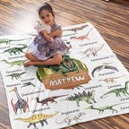 Custom Name Fleece Cartoon Dinosaur Blanket II24
