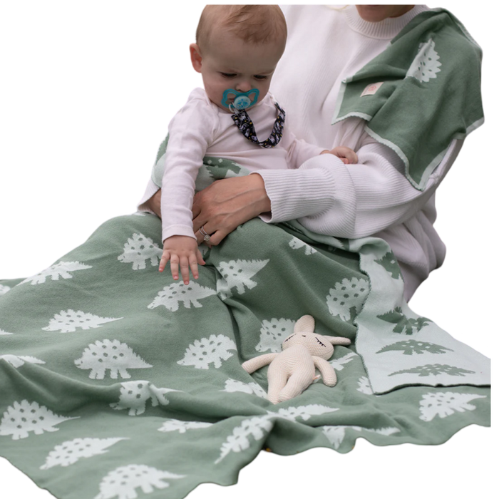 Mint Green Dinosaur Dino Tastic Baby Kid Blanket Gift Set