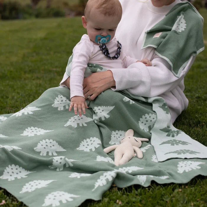 Mint Green Dinosaur Dino Tastic Baby Kid Blanket Gift Set