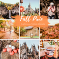Fall Presets Mobile Lightroom Preset Warm Pumpkin Autumn Presets - 4 Presets