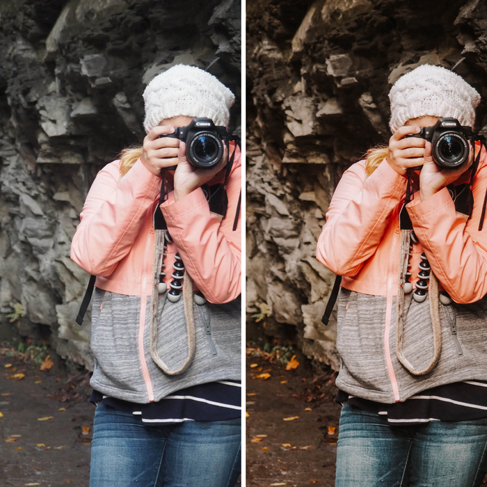 Fawn Autumn Presets Woodsy Fall Mobile Lightroom Preset - 2 Presets