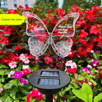 Butterfly2
