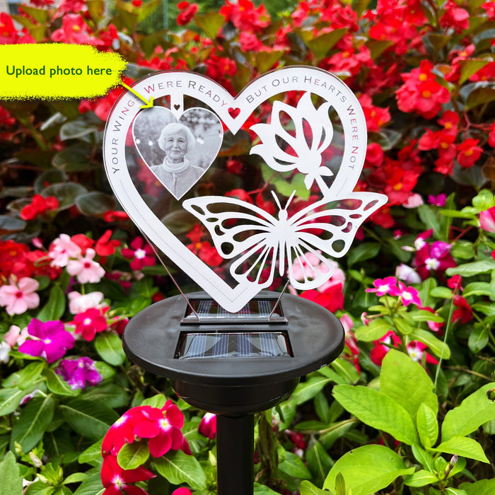 Butterfly Heart-Photo