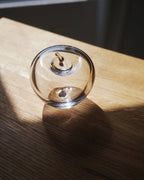 Glass Apple