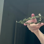 Handmade Athena Chanhua Tiara - Artisanal Laurel Leaf Headpiece