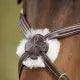 HFI Mexican bridle HFI