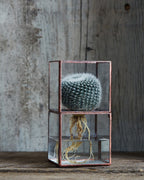 Hydro Terrarium - Small (OUT OF STOCK)