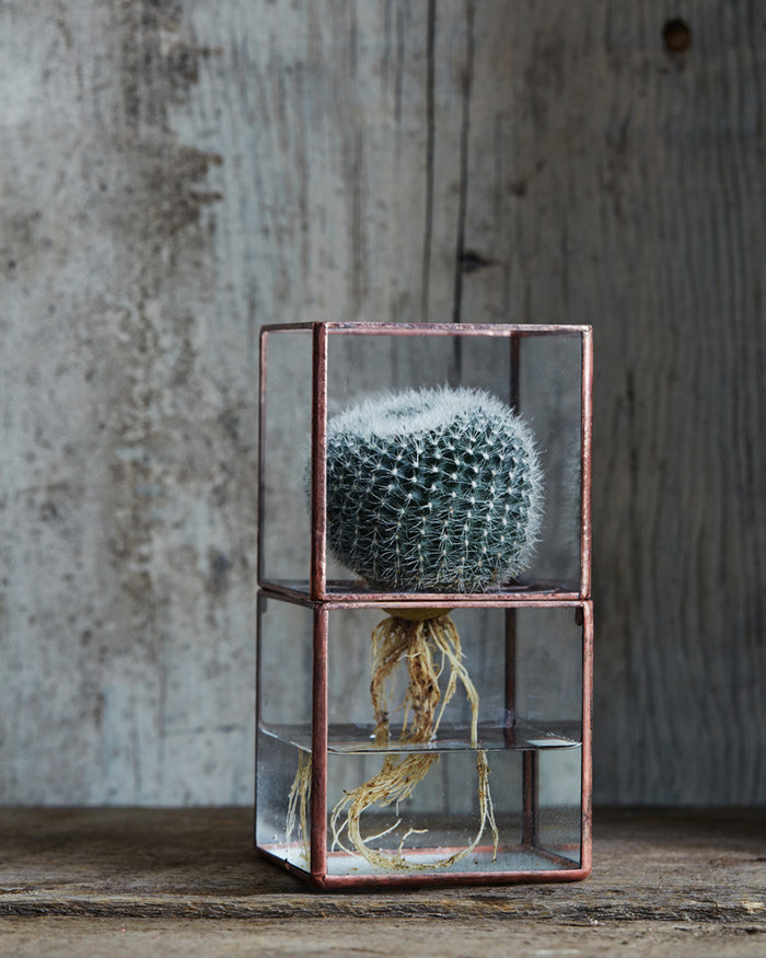 Hydro Terrarium - Small (OUT OF STOCK)