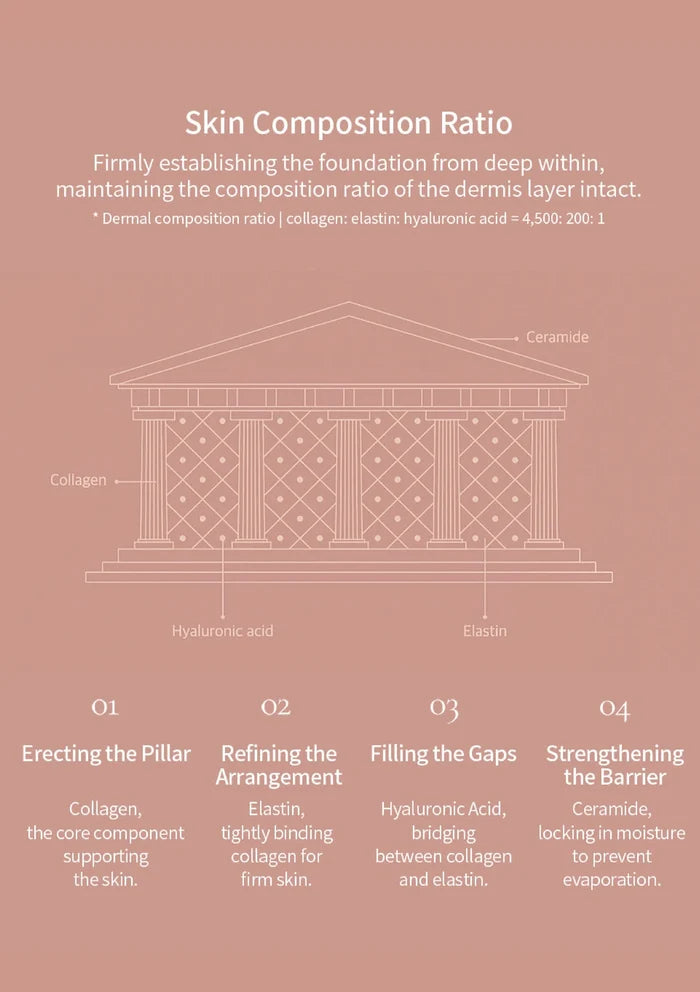 Diagram of skin composition ratio with architectural analogy on a pink background