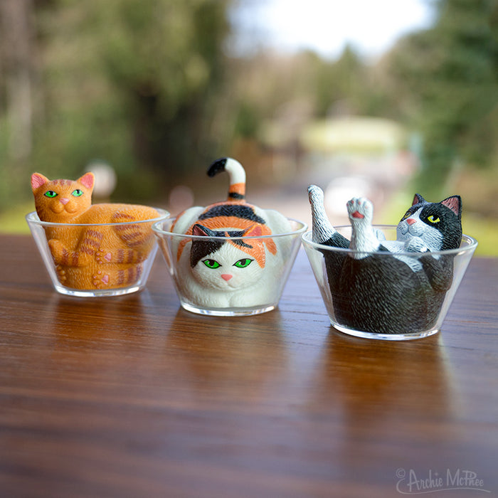 Three Liquid Cats figurines—small cats curled up in glass bowls rest on a wooden surface