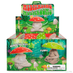 Display box featuring collectible figures of Meditating Mushrooms, affectionately labeled as Mindful Guy and Fungi. These charming vinyl figurines beautifully capture the essence of mindfulness in a delightful display.