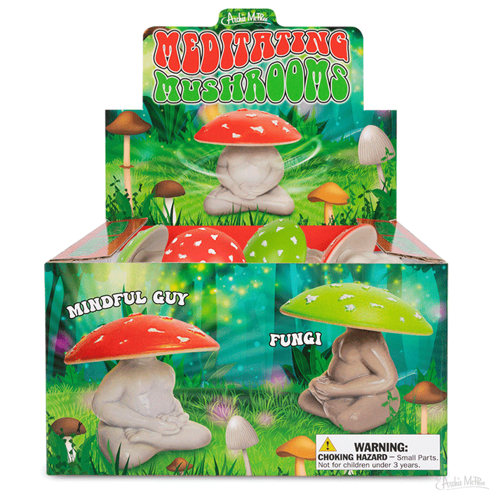 Display box featuring collectible figures of Meditating Mushrooms, affectionately labeled as Mindful Guy and Fungi. These charming vinyl figurines beautifully capture the essence of mindfulness in a delightful display.