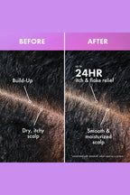 MIELLE LAVENDER & LYCHEE SCALP MOISTURIZING SHAMPOO