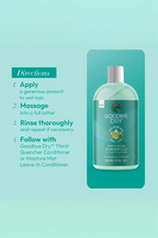 ORS OLIVE OIL GOODBYE DRY THIRST QUENCHER SHAMPOO 12oz ORS
