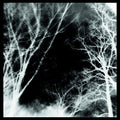 Outer Gods - Dismal Rift cd