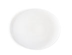 Silhouetted image of the brush oval plate by factory zoomer against white background.