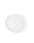 Silhouetted image of the brush oval plate by factory zoomer against white background.