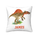 10 / Pillowcase Only