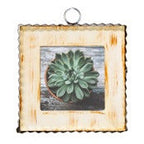 Pie Crust Photo Frames