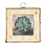 Pie Crust Photo Frames