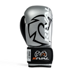 #color_silver-black