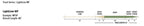 RIO Premier Lightline dry fly line - detail view