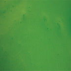 Apple Green / 14 oz Can