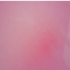 Peach Pink / 14 oz Can