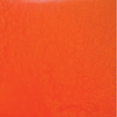 Synstar Orange / 14 oz Can