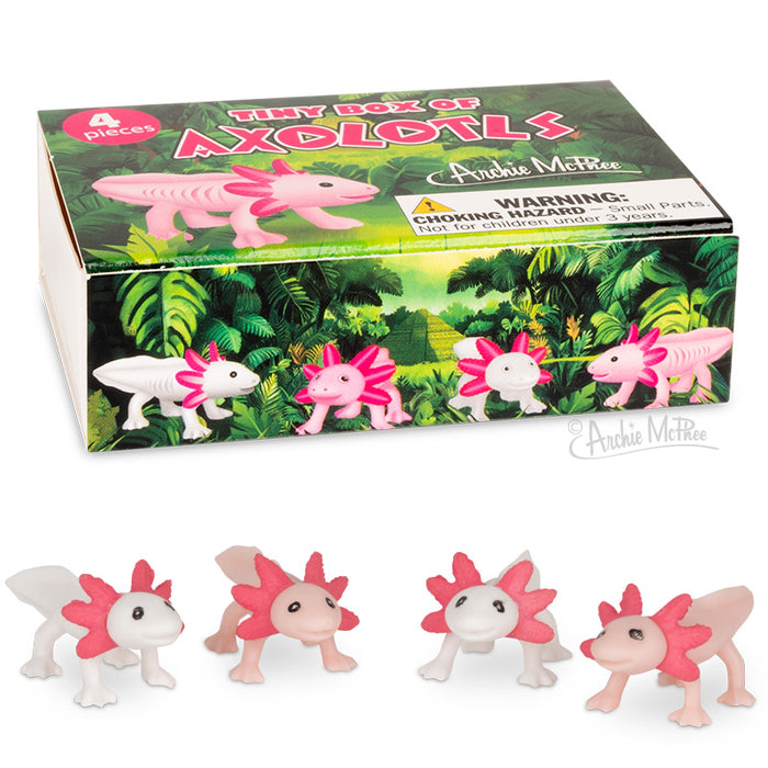 Box titled Tiny Box of Axolotls featuring four miniature toy axolotls in front.