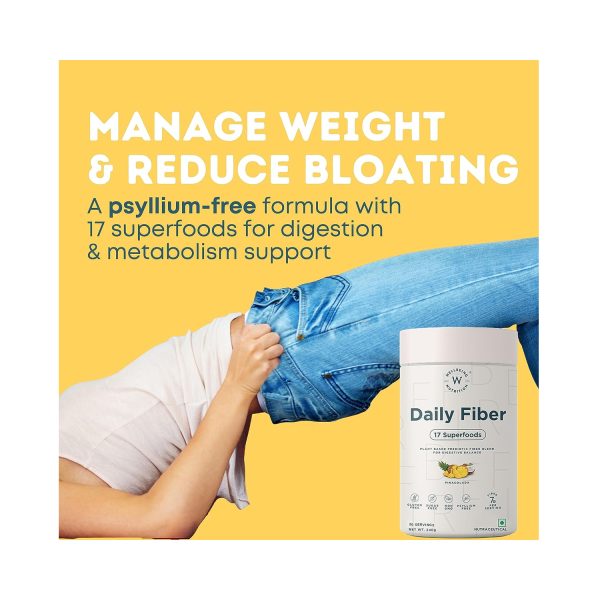 WELLBEING NUTRITION Daily Fiber-Pina Colada-240g