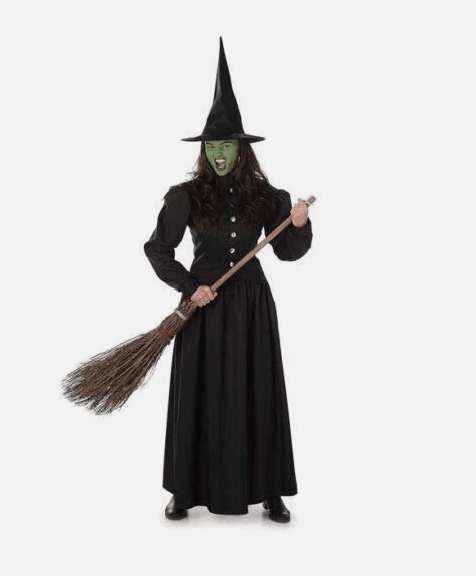 Wicked Witch Adult Small - USA Party Store